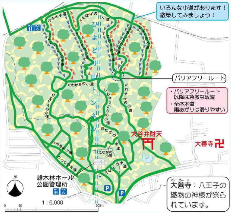 Tokyo Metropolitan Komiya Park