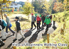 A scene from a walking class for beginners