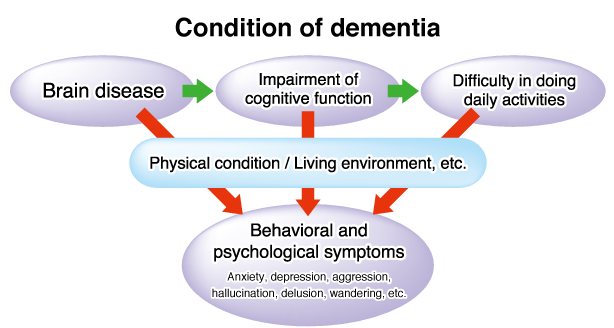 Condition of dementia / Brain disease / Impairment of cognitive function / Difficulty in doing daily activities / Physical condition / Living environment, etc. / Behavioral and psychological symptoms / Anxiety, depression, aggression, hallucination, delusion, wandering, etc.