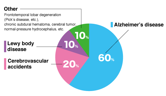 Other(10%):Frontotemporal lobar degeneration (Pick’s disease, etc.), chronic subdural hematoma, cerebral tumor, normal-pressure hydrocephalus, etc. / Lewy body disease(10%) / Cerebrovascular accidents(20%) / Alzheimer’s disease(60%)